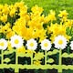 image 2 of 4 8 12 Flexible Garden Lawn Grass Edging Picket Border Panel Plastic Wall Fence | Multi | 4 Sunflower Border