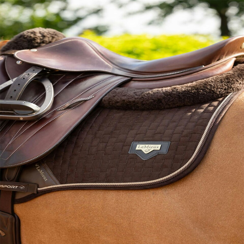 image 1 of LeMieux Puissance Suede CC Pad Black | Large