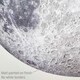 image 7 of Full Moon Wall Sticker