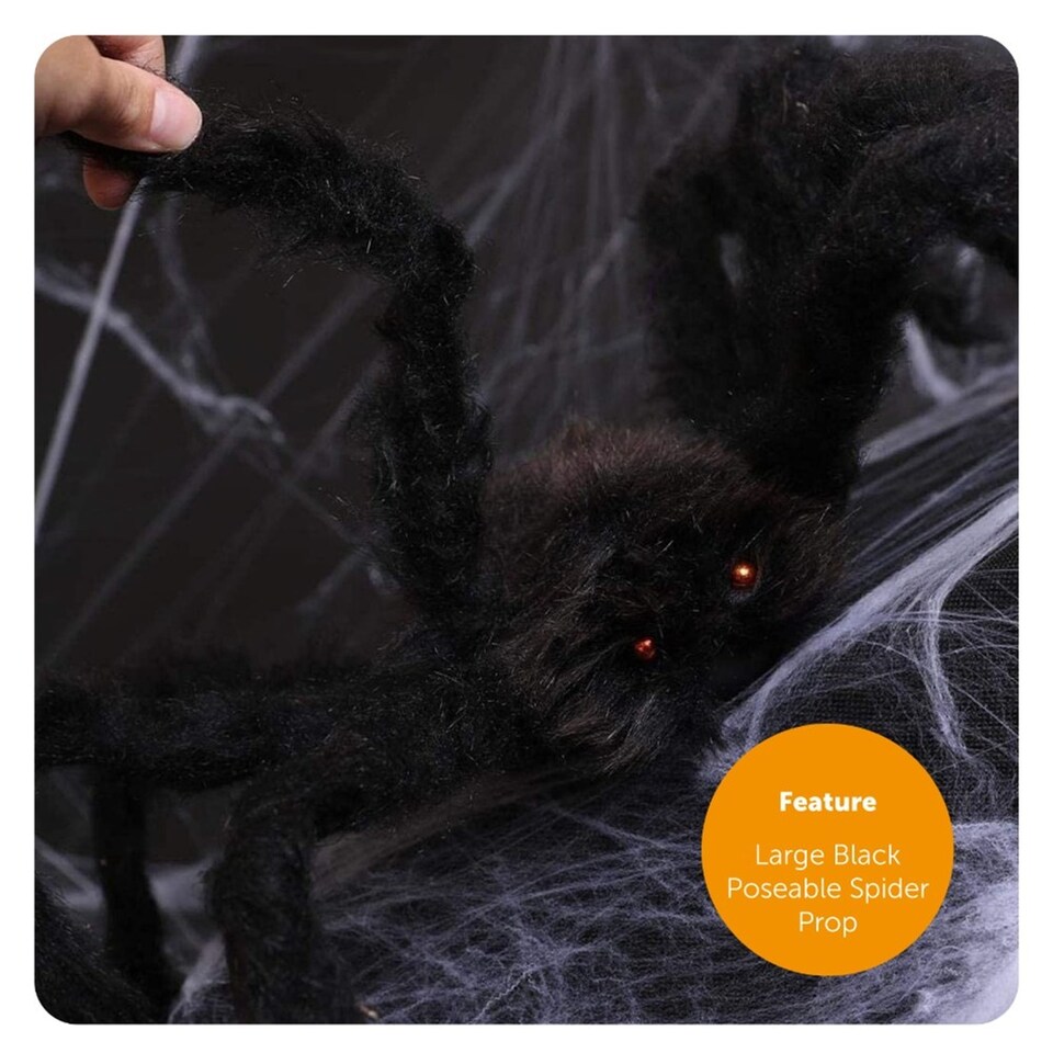 image 1 of Spider Witch Costume with Spider Prop | Black | XL