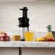 image 10 of Spector Slow Juicer Quiet Cold Press Easy Clean Household Juice Extractor