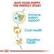 image 6 of ROYAL CANIN Yorkshire Terrier Puppy Dry Dog Food