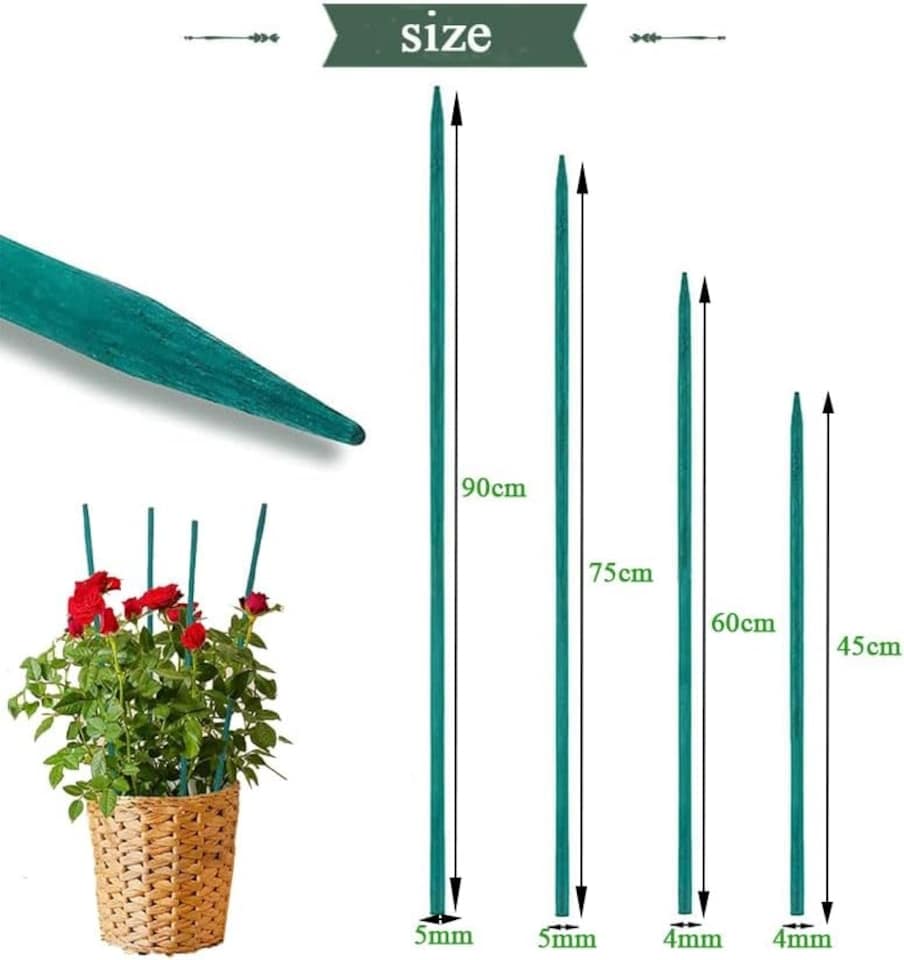 image 1 of Garden Stakes 75cm 30  Pack Bamboo Sticks Plant Support Green Wooden Canes Gardening