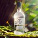image 7 of Edinburgh 1670 Gin