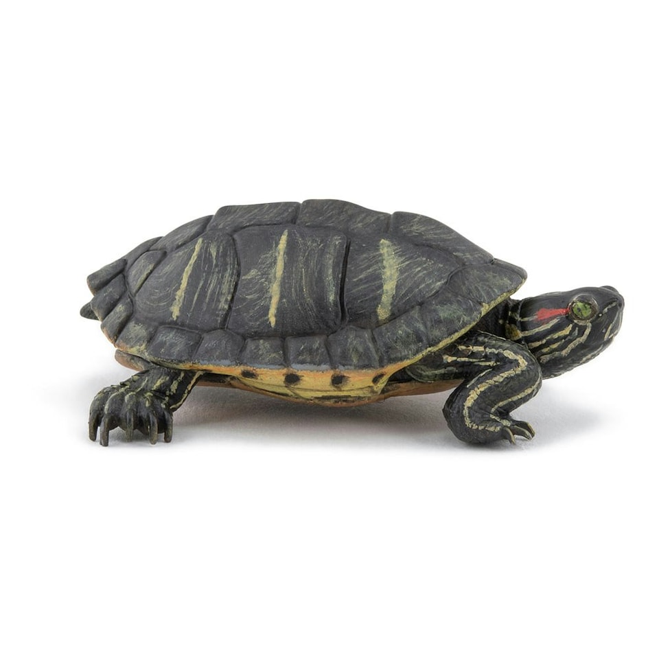 image 1 of PAPO Wild Animal Kingdom Florida Tortoise Toy Figure (50309)
