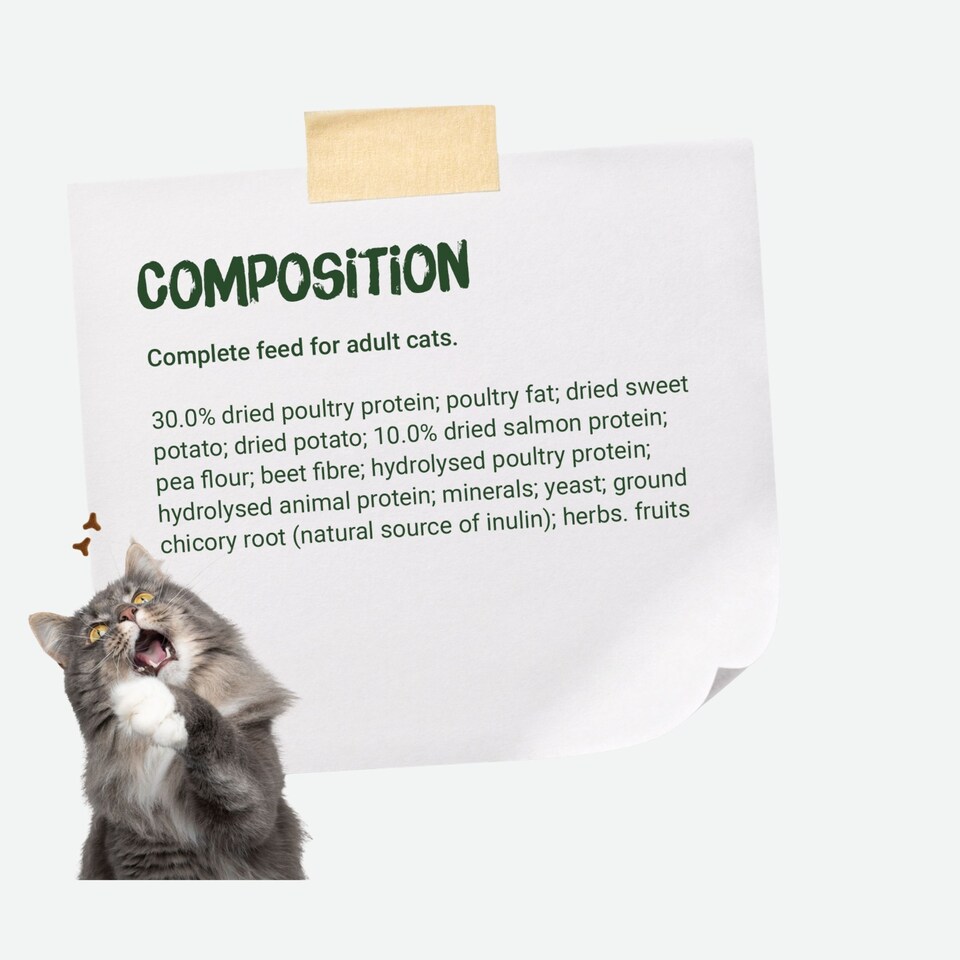 image 1 of Josera NatureCat complete food | For adult cats & older kittens | Grain-free | Chicken & Salmon | Anti-Hairball | Herbs & Fruits | Urinary pH | 2kg
