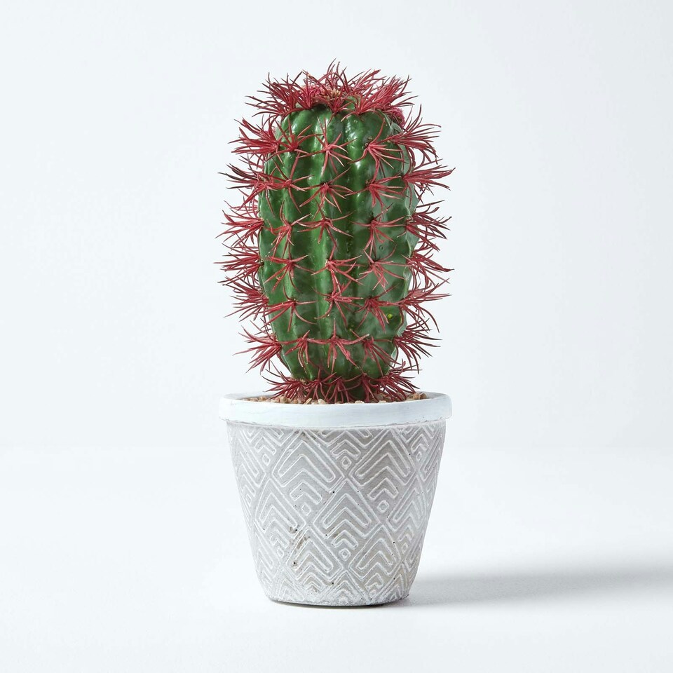 image 1 of Homescapes Denmoza Artificial Cactus with Flowers in Patterned Pot, 25 cm Tall