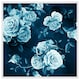 image 1 of Winter blue roses (Picture Frame) White | L