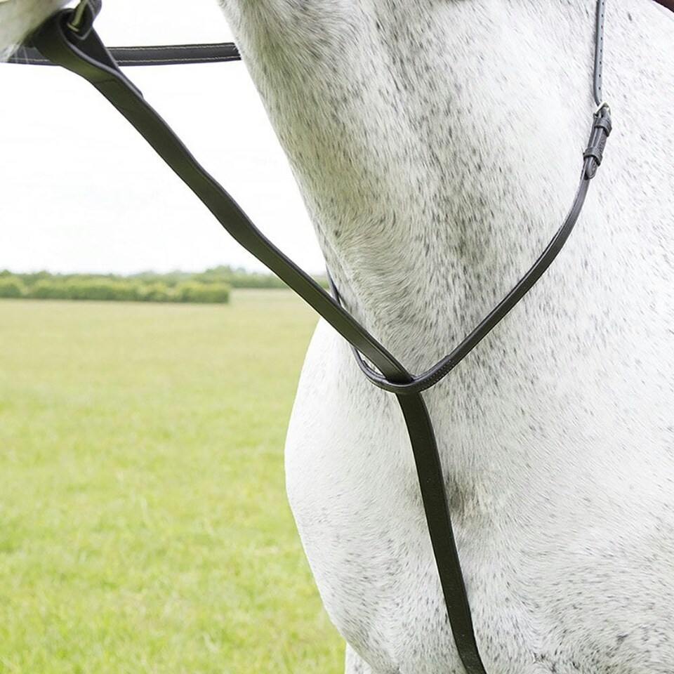 image 1 of Blenheim Leather Horse Standing Martingale - Black - Full