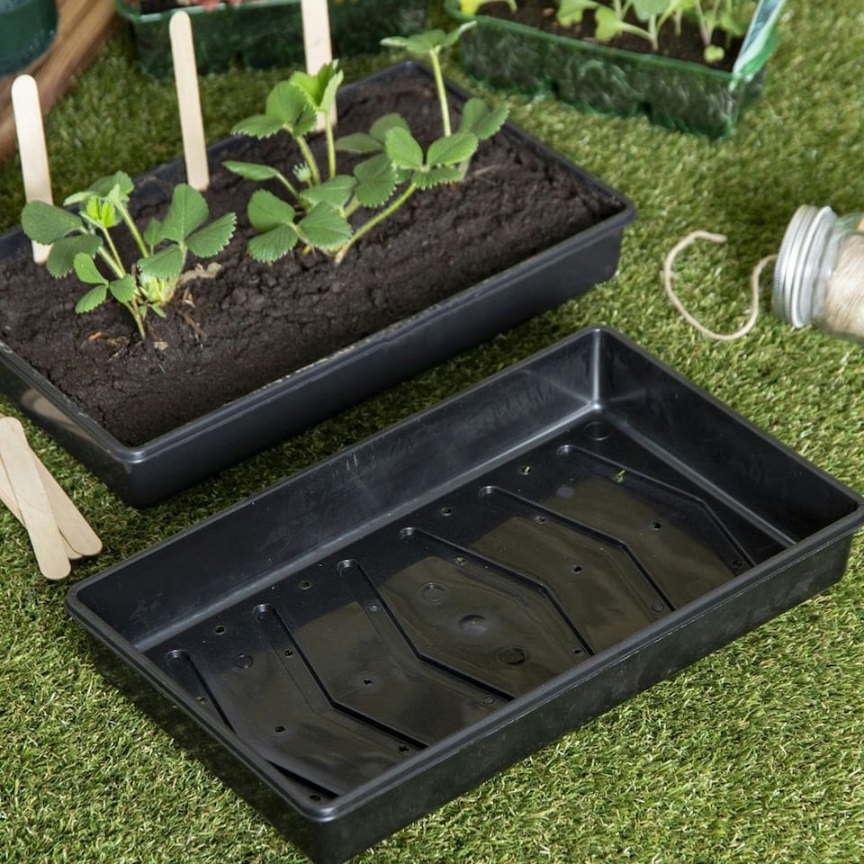 image 1 of Eden Seed Tray Large Black 38 x 22cm - One Colour - One Size