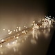 image 3 of 430 LED 2.7m Premier Christmas Outdoor 8 Function Gold Wire Lights Warm White