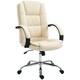 image 1 of Vinsetto Executive Office Chair High Back Computer Desk Chair w/ Armrests Beige