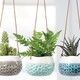 image 4 of Burgon & Ball Baby Dotty Trio Hanging Baskets Set
