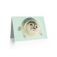 image 2 of Cute Seal Arctic Sea Life Animal Photograph Birthday Card