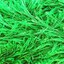 3517 Fluorescent Green | Green