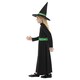 image 3 of Wicked Witch Black and Green Girls Fancy Dress Costume Kids Medium - Age 7-9 | Black | 7-9 years