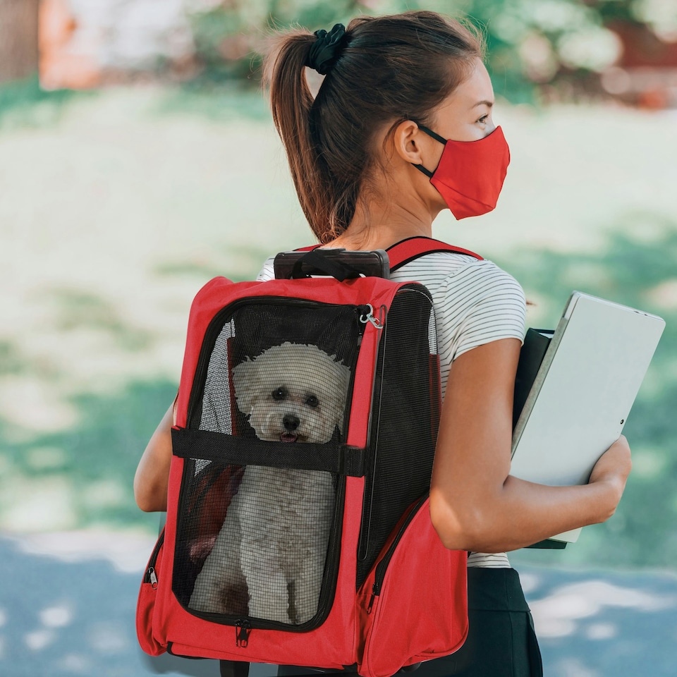image 1 of PawHut Pet Travel Backpack Bag Cat Puppy Dog Carrier w/ Trolley and Telescopic