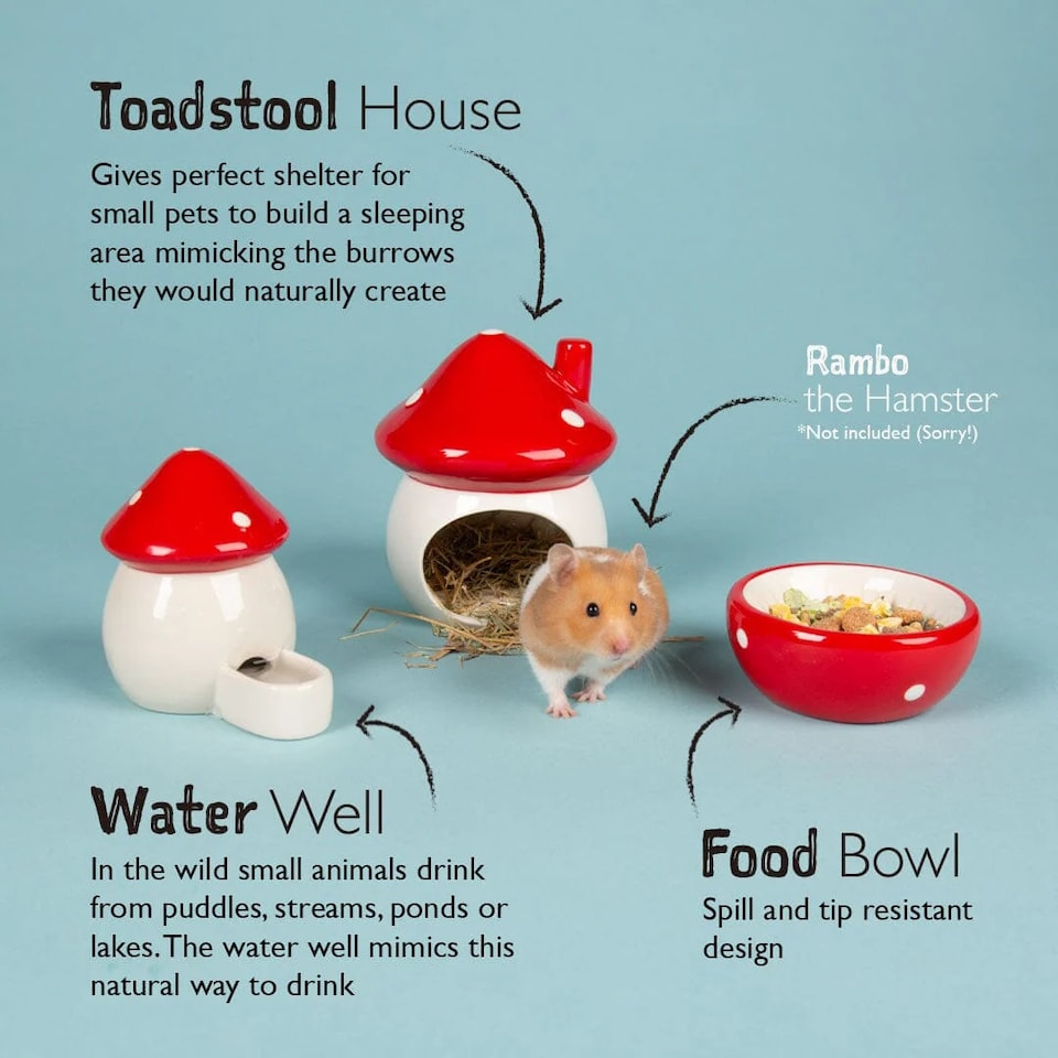 image 1 of Scruffs Small Pet Toadstool Ceramic Set - House, Food Bowl & Water Well