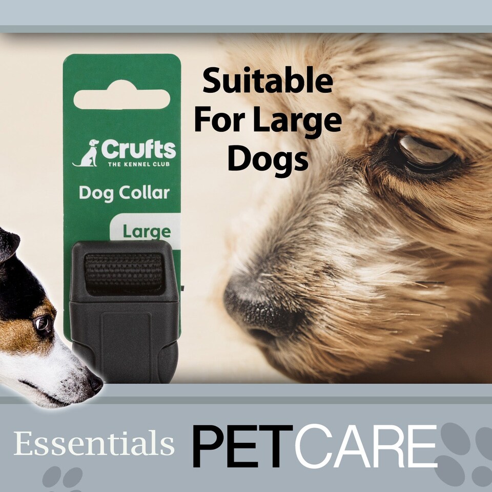 image 1 of Crufts Large Black Nylon Dog Collar - Adjustable 40cm, 2.5cm Wide