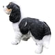 image 7 of Animal Crackers Cavalier King Charles Spaniel Figurine Home Or Garden Decoration