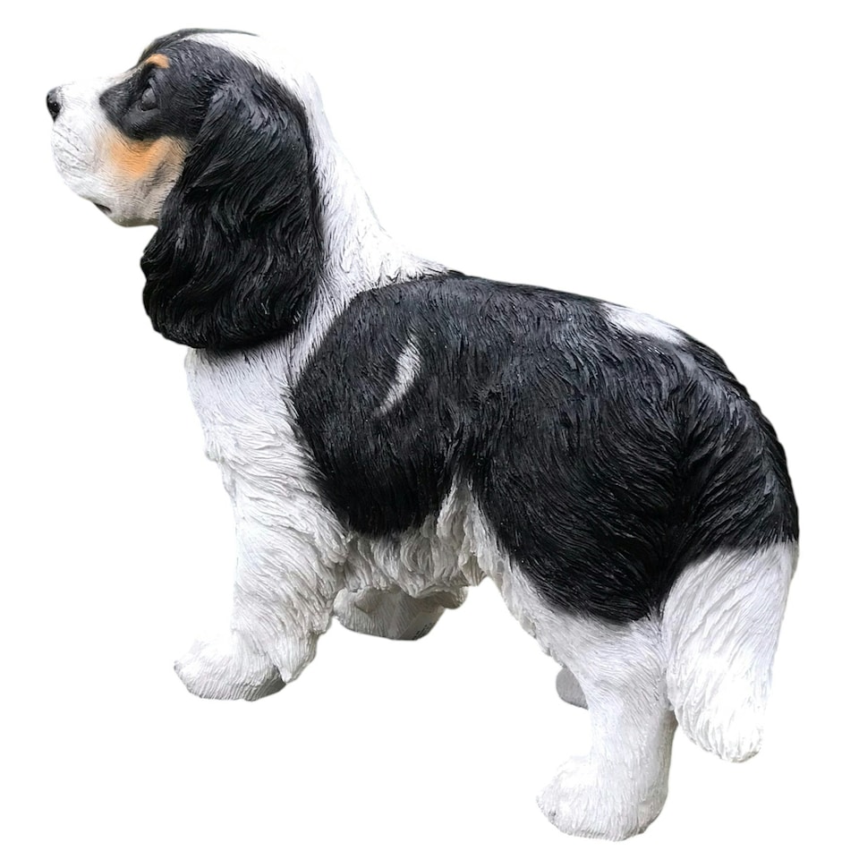 image 1 of Animal Crackers Cavalier King Charles Spaniel Figurine Home Or Garden Decoration