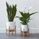 image 3 of Lisbon Pot & Stand Black