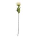 image 1 of Protea Lorea (Single Stem Flower) - Plastic - Height 73 cm - Cream