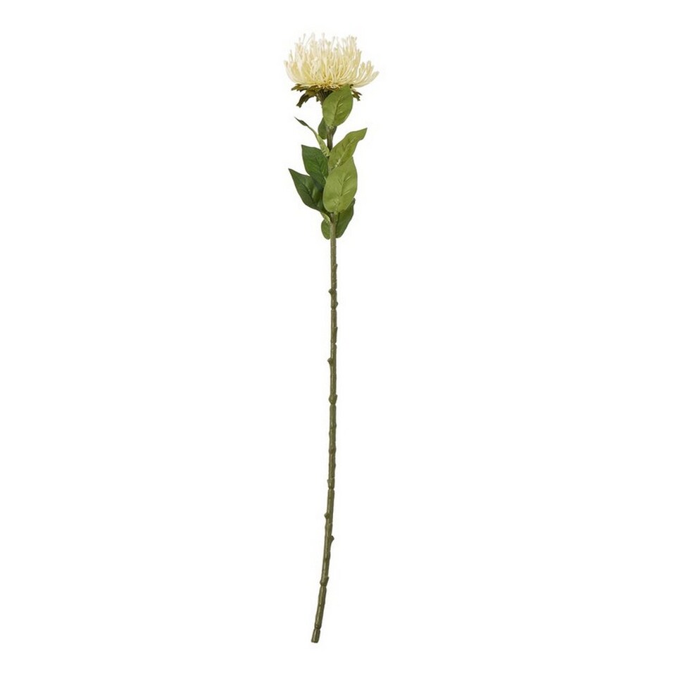 image 1 of Protea Lorea (Single Stem Flower) - Plastic - Height 73 cm - Cream