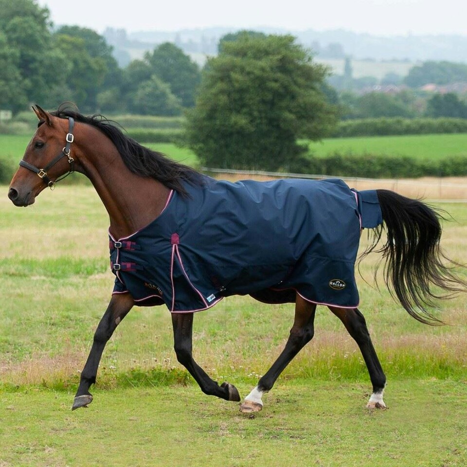 Gallop Equestrian Trojan Duraproof 50G Turnout Blue | Size: 5ft 6
Colour: Navy
