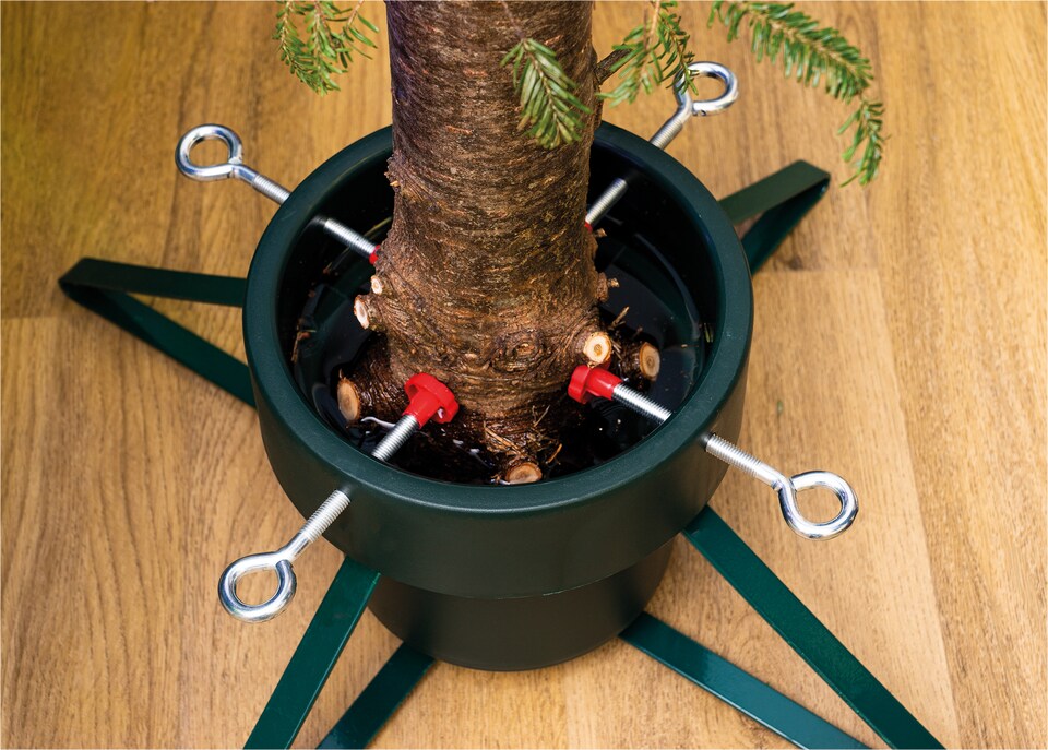 image 1 of St Helens Christmas Tree Stand, Small (2.1M Trees)