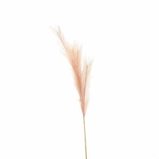Faux Pampas Grass Stem Artificial Plant - Fabric/Plastic - L30 x W30 x H85 cm