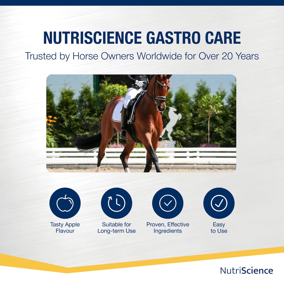 image 1 of NutriScience Horse Gastric Supplement Gut Ulcer Digestive Support Powder 3KG