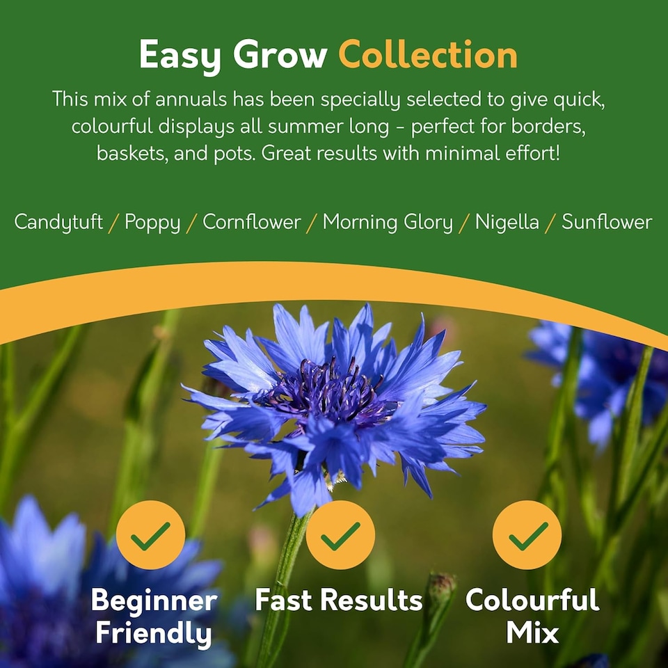 image 1 of Pronto Seed Bumper Baskets & Containers Flower Seed Variety Pack.  18 Varieties, Over 1400 Seeds