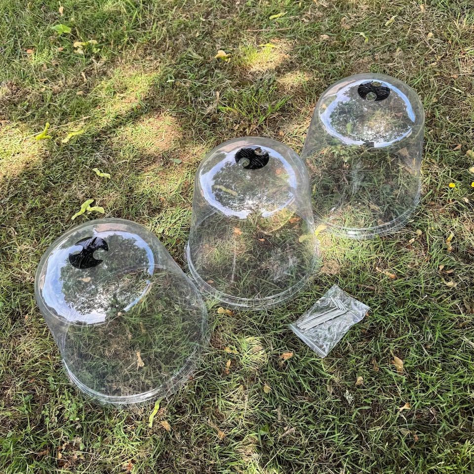 image 1 of Large Plastic Plant Protection Bell Cloche Covers with Ground Pegs - Pack of 3