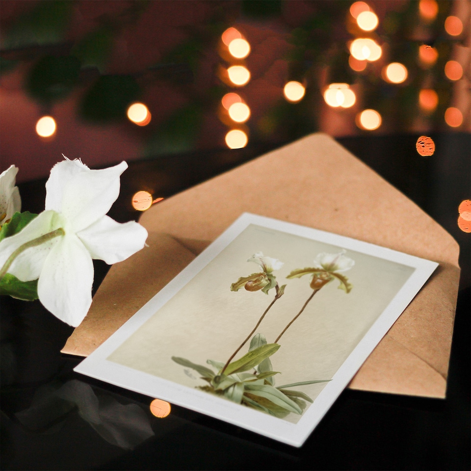 image 1 of F Sander Cypripedium Leeanum Var Giganteum Orchid Art Greeting Card