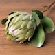 image 3 of Large Protea Artificial Plant - Plastic - L21 x W21 x H73 cm - Green
