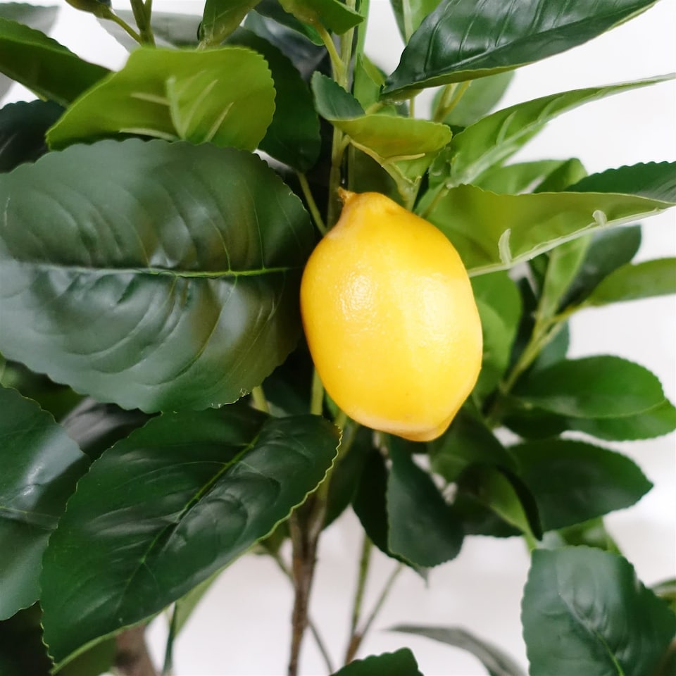 image 1 of Large Lemon Tree Artificial 120cm Premium Plant | Green | 4ft