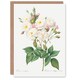 image 1 of Pierre-Joseph Redouté Art Card Noisette Rose Vintage Floral