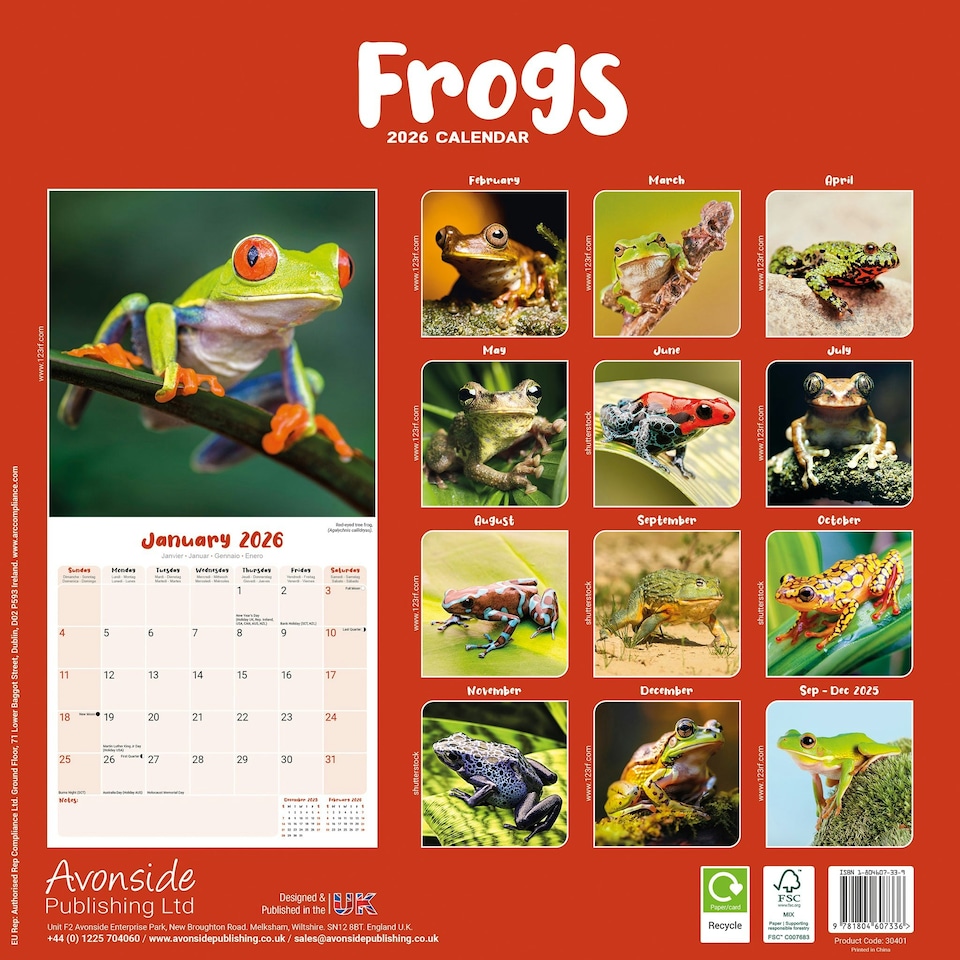 image 1 of Frogs 2026 Calendar | Square Wall Calendar | Reptile Gift | Plastic Free Packaging | by Avonside Publishing