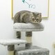 image 7 of PawHut 132cm Cat Activity Centre for Large Cats with Scratching Posts Grey