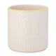 image 1 of English Tableware Company Bee Happy Large Planter