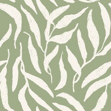Olive Leaf Wallpaper in Cream on Pistachio | Green | Green, Light | 50cm x 10m