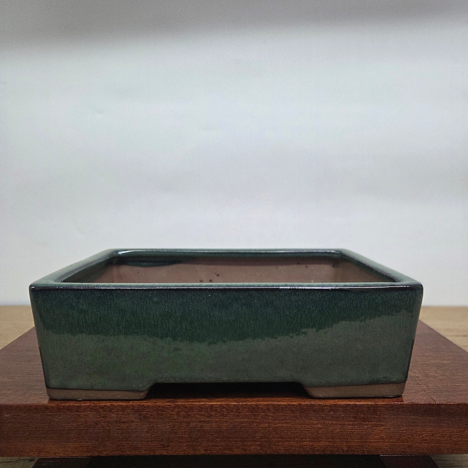image 1 of Yorkshire Bonsai 25cm Glazed Bonsai Pot Rectangle 25cm x 18cm x 9cm Dark Green