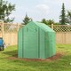 image 8 of Outsunny Walk-in Outdoor Green House with Door and Mesh Windows, Green
