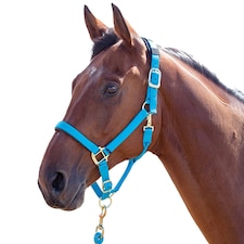 Shires Topaz Nylon Horse Headcollar - Blue - XX Small Pony