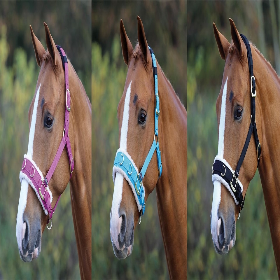 image 1 of Shires Fleece Lined Lunge Cavesson Pink | Size: Pony
Colour: Pink