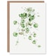 image 1 of Pierre-Joseph Redouté Art Card Kenilworth Ivy Vintage Botanical