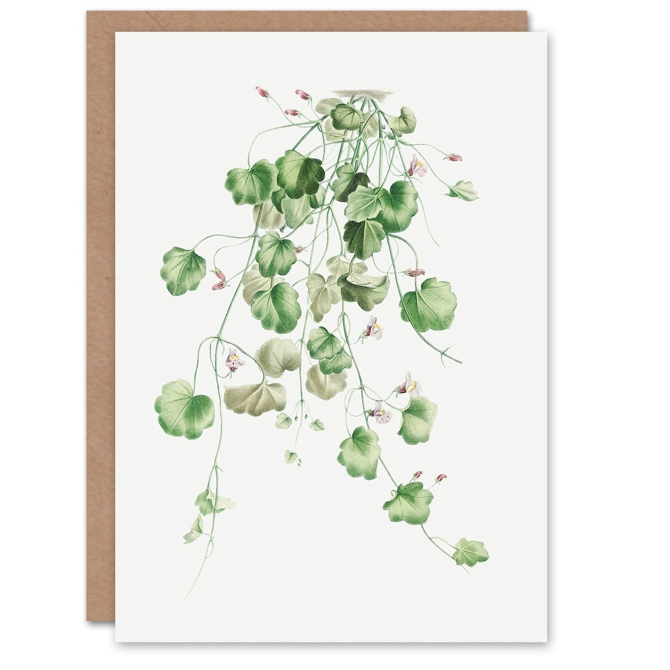 image 1 of Pierre-Joseph Redouté Art Card Kenilworth Ivy Vintage Botanical