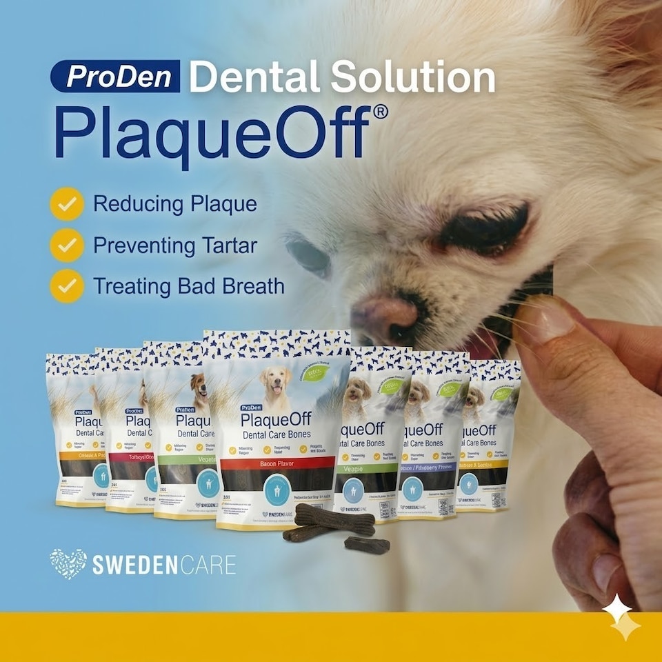 image 1 of ProDen PlaqueOff  Peanut Butter & Banana Mini Dental Bones for Small & Toy Dogs