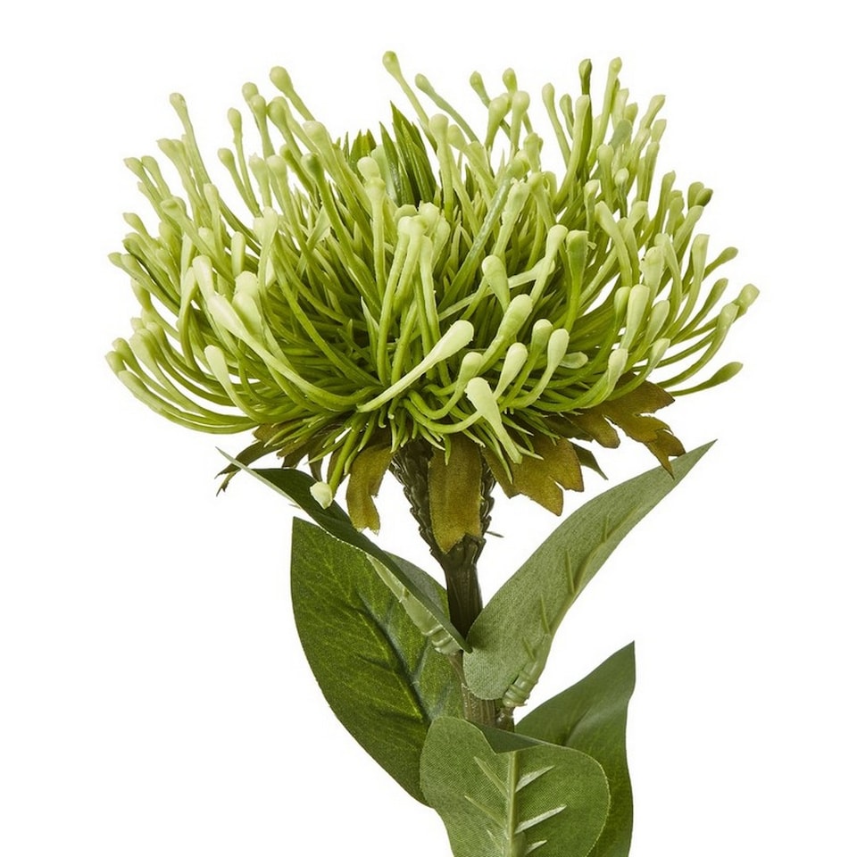 image 1 of Protea Lorea (Single Stem Flower) - Plastic - Height 73 cm - Green